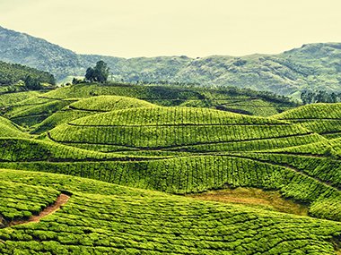 Tây Nguyên, Việt Nam